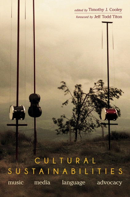 Cultural Sustainabilities : Music, Media, Language, Advocacy, Paperback / softback Book