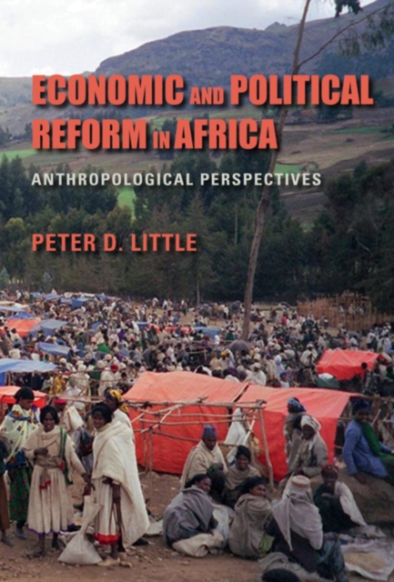 Economic and Political Reform in Africa : Anthropological Perspectives, Paperback / softback Book