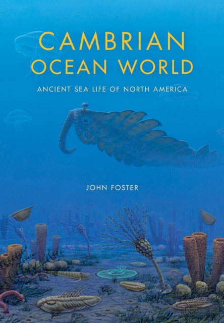 Cambrian Ocean World : Ancient Sea Life of North America, Hardback Book