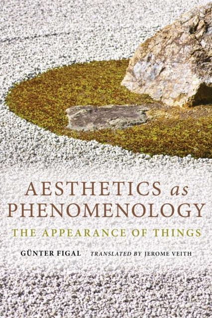 Aesthetics as Phenomenology : The Appearance of Things, Hardback Book