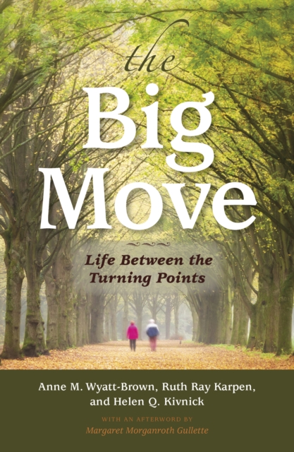 The Big Move : Life Between the Turning Points, Paperback / softback Book