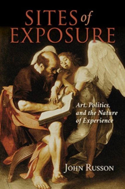 Sites of Exposure : Art, Politics, and the Nature of Experience, Hardback Book