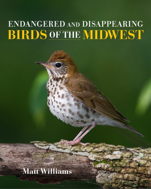 Endangered and Disappearing Birds of the Midwest, Hardback Book