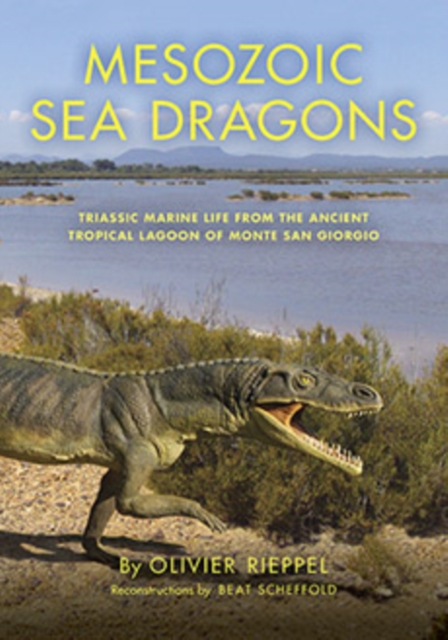 Mesozoic Sea Dragons : Triassic Marine Life from the Ancient Tropical Lagoon of Monte San Giorgio, Hardback Book