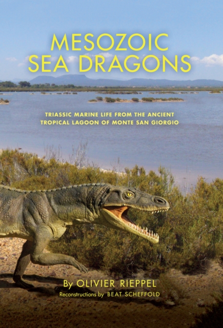 Mesozoic Sea Dragons : Triassic Marine Life from the Ancient Tropical Lagoon of Monte San Giorgio, PDF eBook