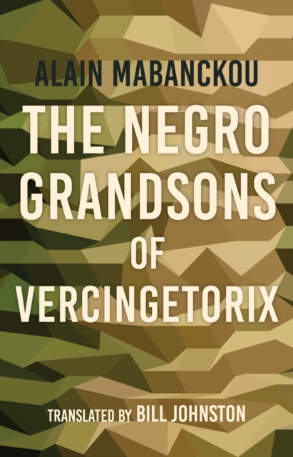 The Negro Grandsons of Vercingetorix, EPUB eBook
