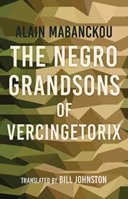 The Negro Grandsons of Vercingetorix, Paperback / softback Book