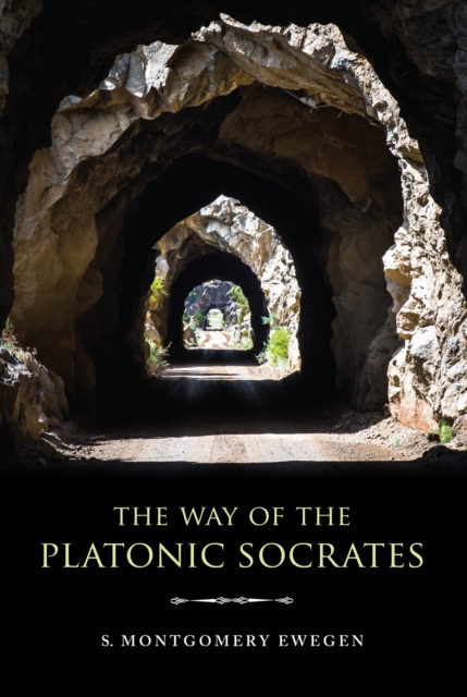 The Way of the Platonic Socrates, EPUB eBook