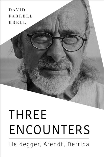 Three Encounters : Heidegger, Arendt, Derrida, Paperback / softback Book