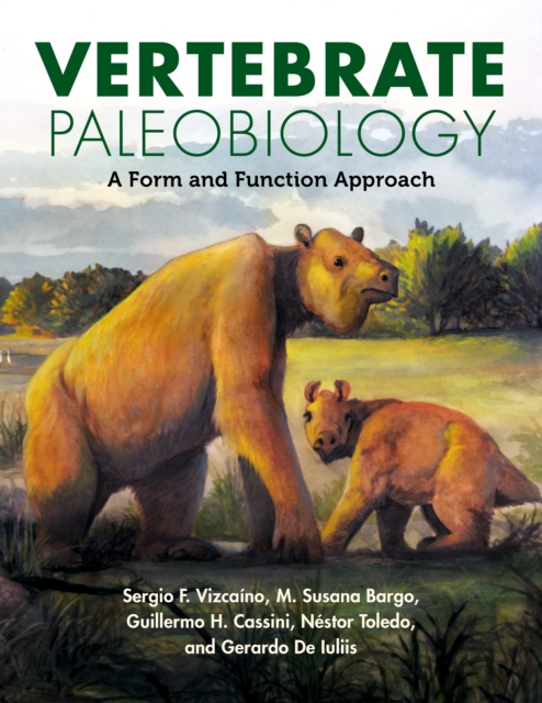 Vertebrate Paleobiology : A Form and Function Approach, Hardback Book