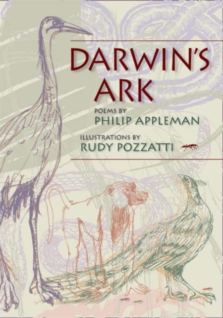 Darwin's Ark, Paperback / softback Book