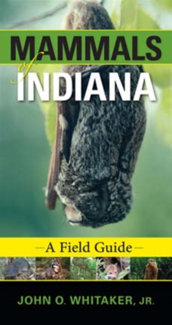 Mammals of Indiana : A Field Guide, Paperback / softback Book