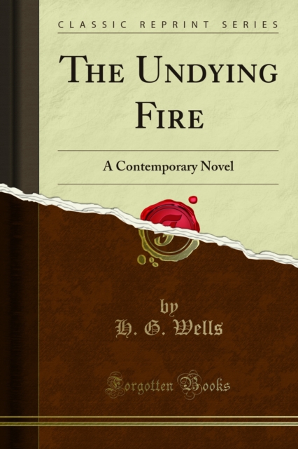 The Undying Fire : A Contemporary Novel, PDF eBook