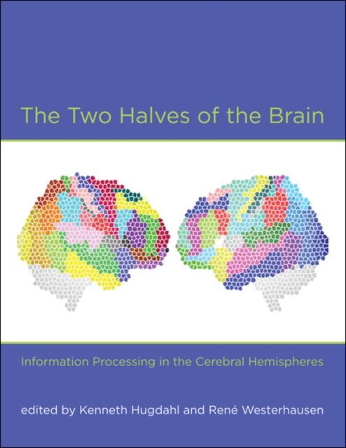 The Two Halves of the Brain : Information Processing in the Cerebral Hemispheres, Hardback Book
