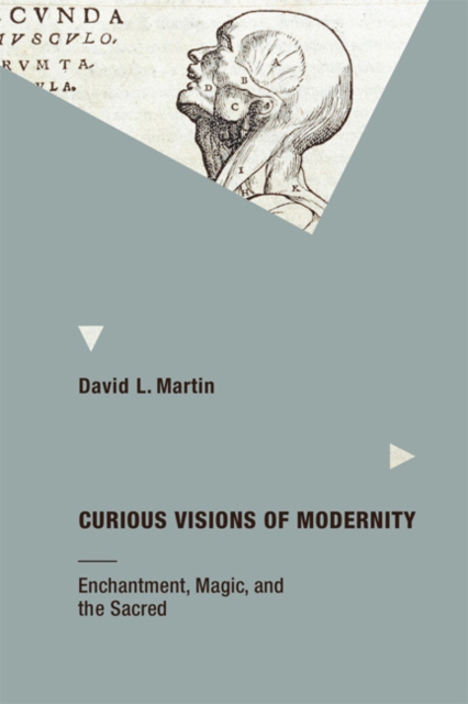 Curious Visions of Modernity : Enchantment, Magic, and the Sacred, Hardback Book