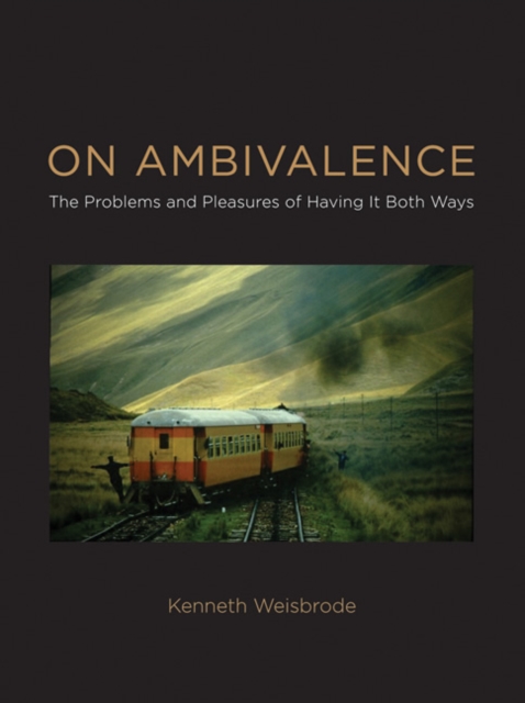 On Ambivalence : The Problems and Pleasures of Having it Both Ways, Hardback Book