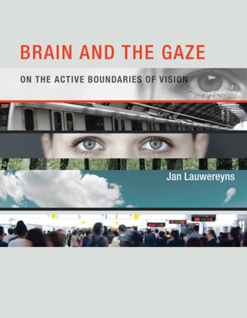 Brain and the Gaze : On the Active Boundaries of Vision, Hardback Book