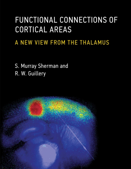 Functional Connections of Cortical Areas : A New View from the Thalamus, Hardback Book