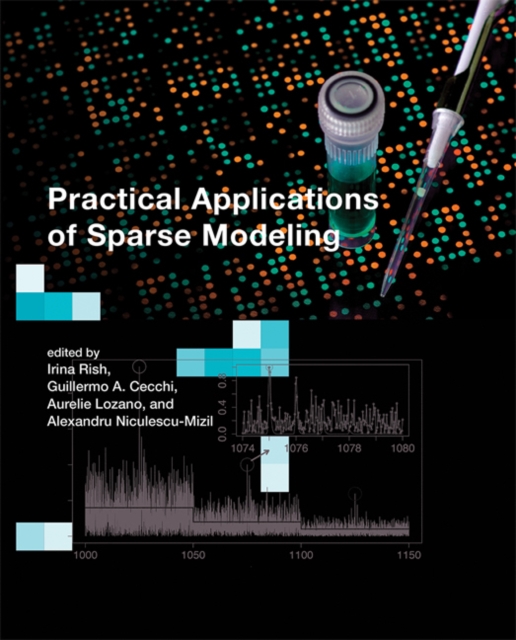 Practical Applications of Sparse Modeling, Hardback Book