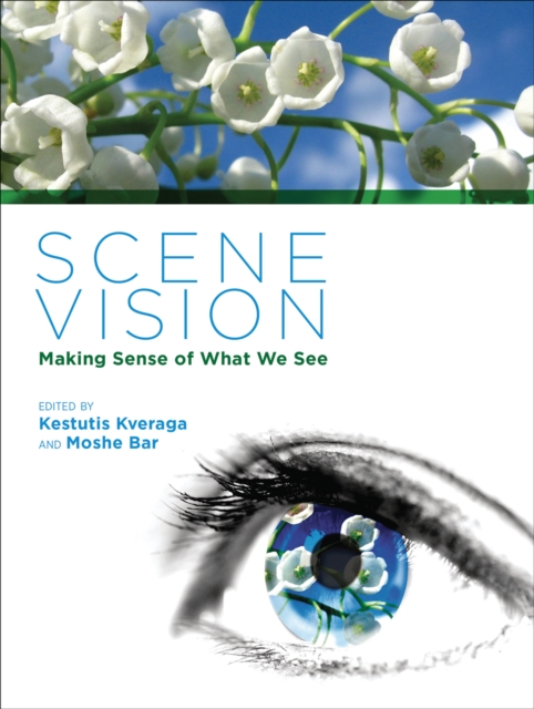 Scene Vision : Making Sense of What We See, Hardback Book