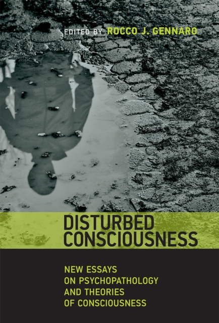 Disturbed Consciousness : New Essays on Psychopathology and Theories of Consciousness, Hardback Book