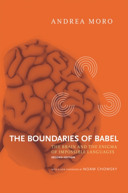 The Boundaries of Babel : The Brain and the Enigma of Impossible Languages Volume 46, Paperback / softback Book