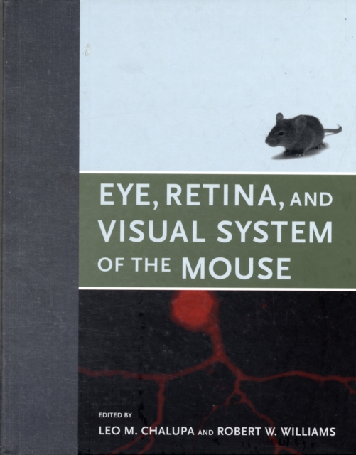 Eye, Retina, and Visual System of the Mouse, Hardback Book