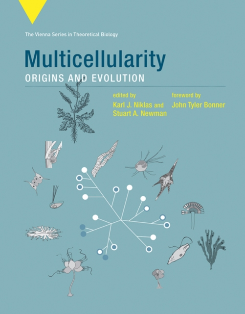 Multicellularity : Origins and Evolution, Hardback Book