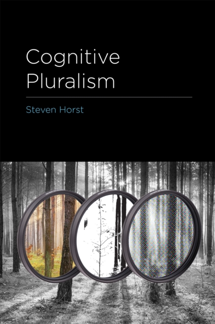 Cognitive Pluralism, Hardback Book
