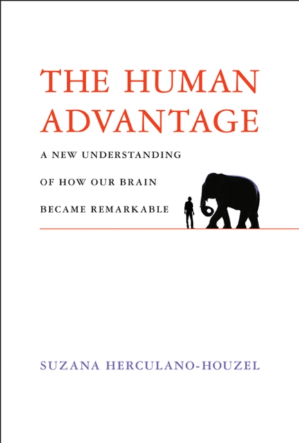 The Human Advantage : A New Understanding of How Our Brain Became Remarkable, Hardback Book