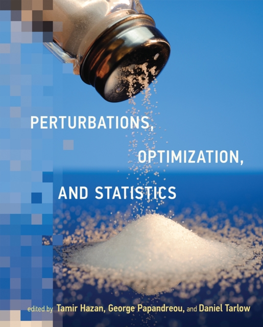 Perturbations, Optimization, and Statistics, Hardback Book