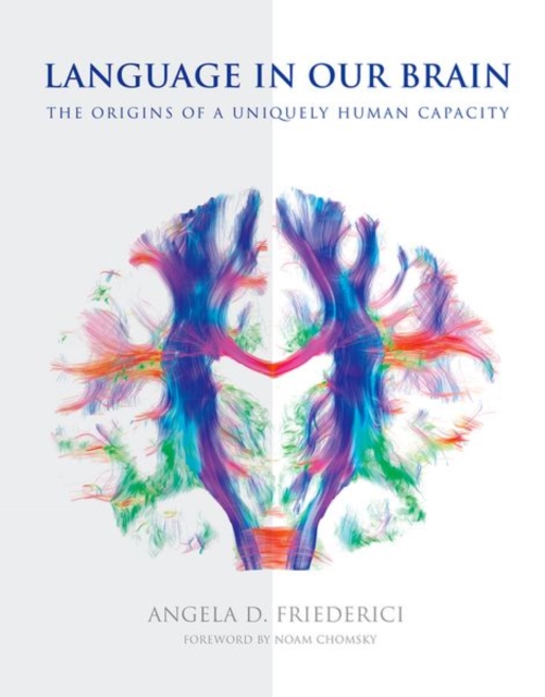 Language in Our Brain : The Origins of a Uniquely Human Capacity, Hardback Book