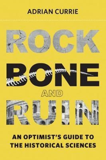 Rock, Bone, and Ruin : An Optimist's Guide to the Historical Sciences, Hardback Book