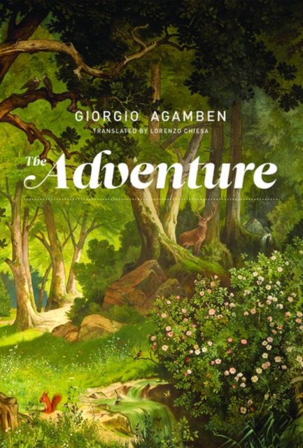 The Adventure, Hardback Book