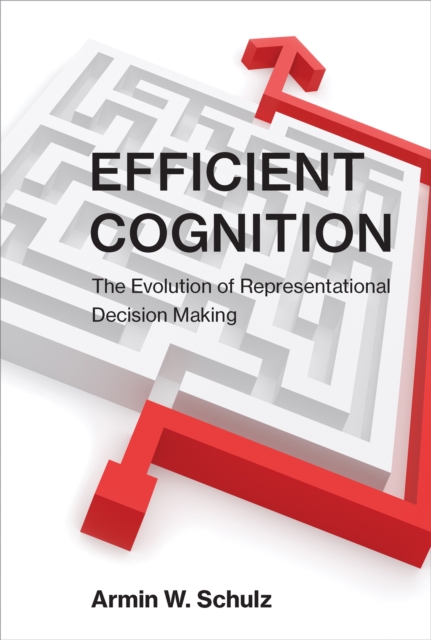 Efficient Cognition : The Evolution of Representational Decision Making, Hardback Book