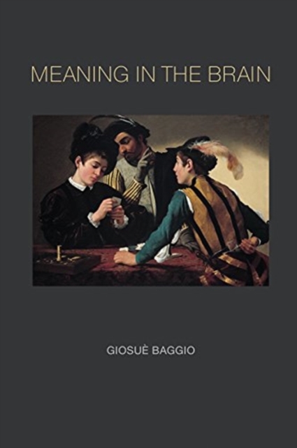 Meaning in the Brain, Hardback Book