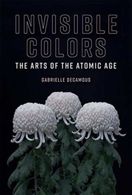 Invisible Colors : The Arts of the Atomic Age,  Book
