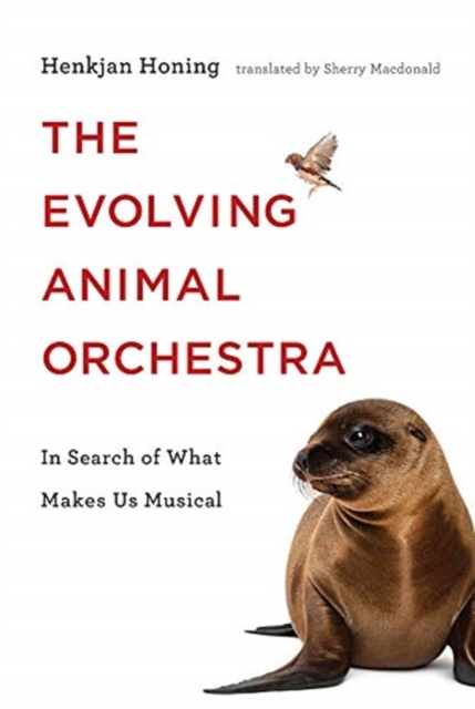 The Evolving Animal Orchestra : In Search of What Makes Us Musical, Hardback Book