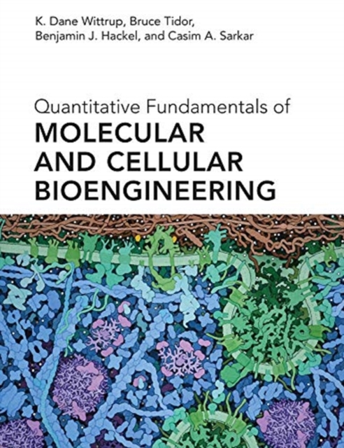 Quantitative Fundamentals of Molecular and Cellular Bioengineering, Hardback Book