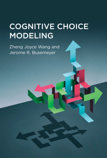 Cognitive Choice Modeling, Hardback Book