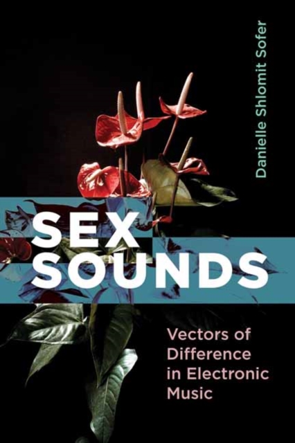Sex Sounds : Vectors of Difference in Electronic Music, Paperback / softback Book