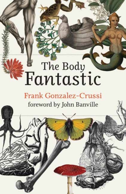 The Body Fantastic, Hardback Book