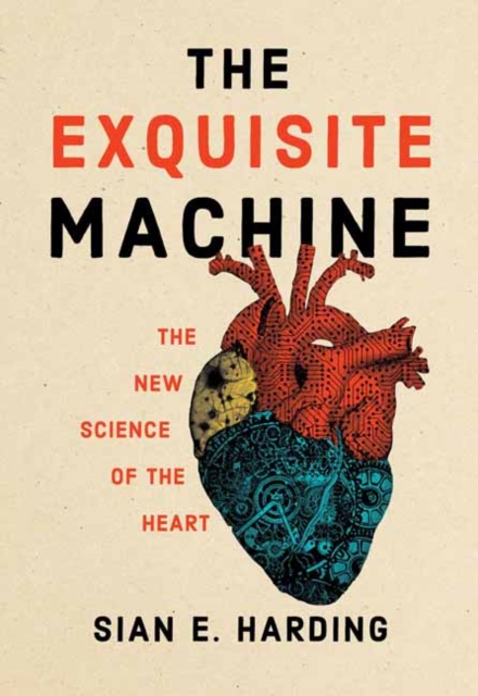 The Exquisite Machine : The New Science of the Heart, Hardback Book