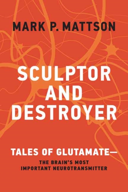 Sculptor and Destroyer : Tales of Glutamatethe Brains Most Important Neurotransmitter, Paperback / softback Book