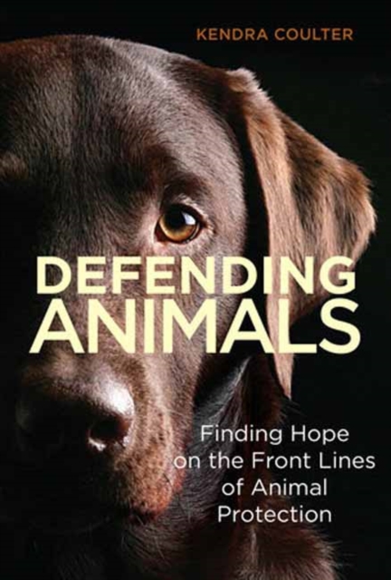 Defending Animals : Finding Hope on the Front Lines of Animal Protection, Paperback / softback Book
