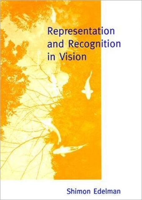 Representation and Recognition in Vision, Hardback Book