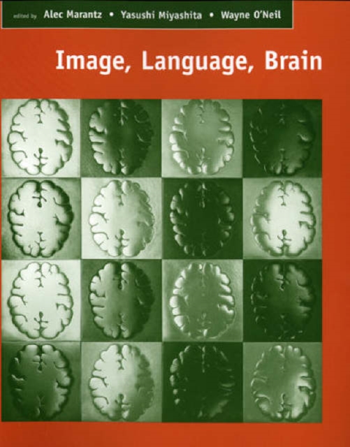 Image, Language, Brain : Papers from the First Mind Articulation Project Symposium, Hardback Book