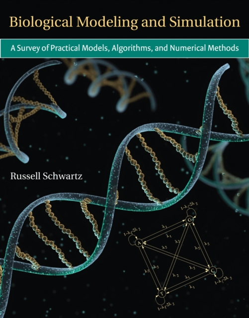 Biological Modeling and Simulation : A Survey of Practical Models, Algorithms, and Numerical Methods, Hardback Book