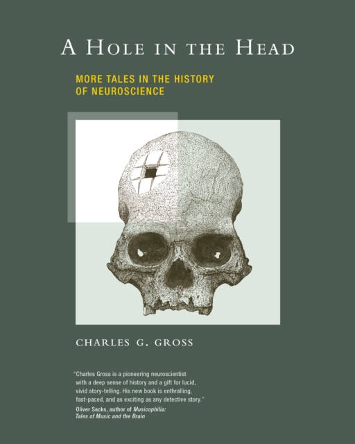 A Hole in the Head : More Tales in the History of Neuroscience, PDF eBook