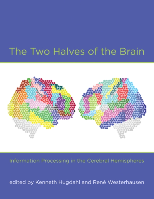 The Two Halves of the Brain : Information Processing in the Cerebral Hemispheres, PDF eBook